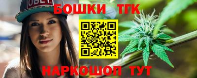 МДПВ Лесосибирск
