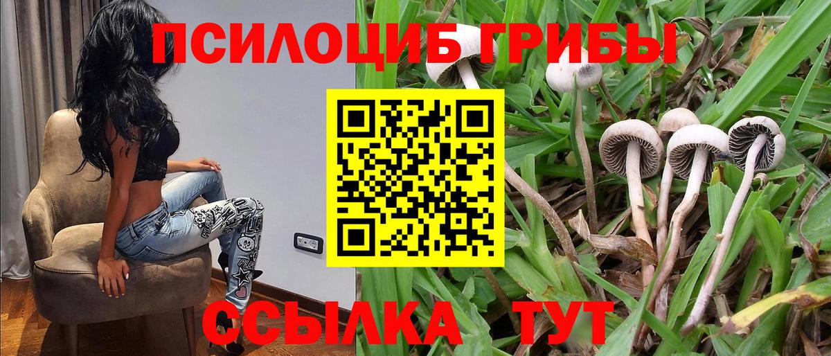Галлюциногенные грибы MAGIC MUSHROOMS  Вход с VPN  Гагарин 